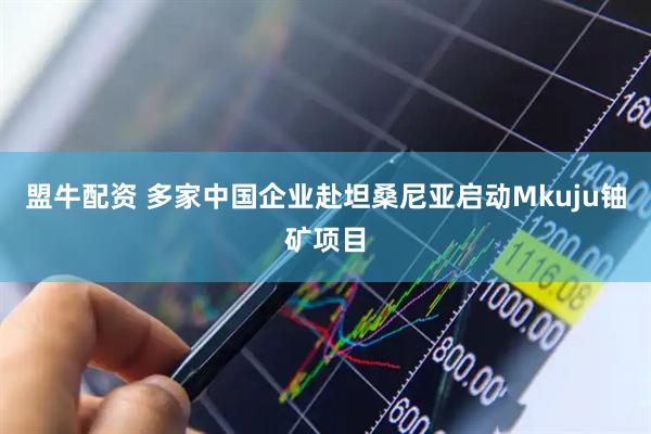 盟牛配资 多家中国企业赴坦桑尼亚启动Mkuju铀矿项目