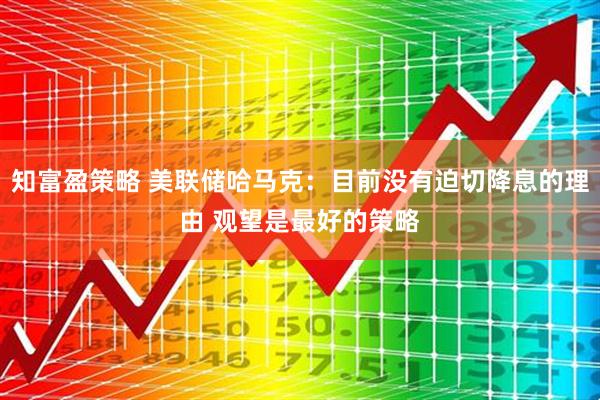 知富盈策略 美联储哈马克：目前没有迫切降息的理由 观望是最好的策略