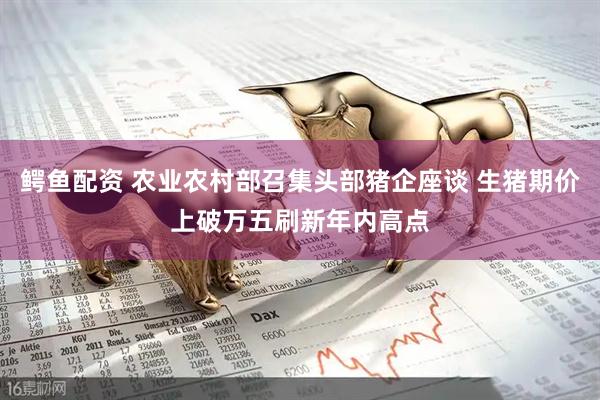鳄鱼配资 农业农村部召集头部猪企座谈 生猪期价上破万五刷新年内高点