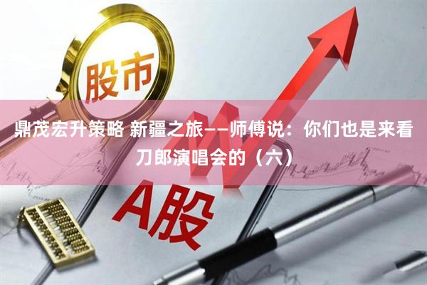 鼎茂宏升策略 新疆之旅——师傅说：你们也是来看刀郎演唱会的（六）
